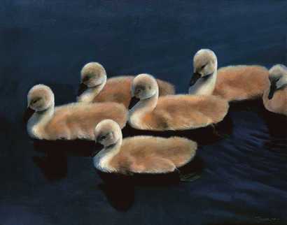 金焰 2004年11月作 小鸭子
